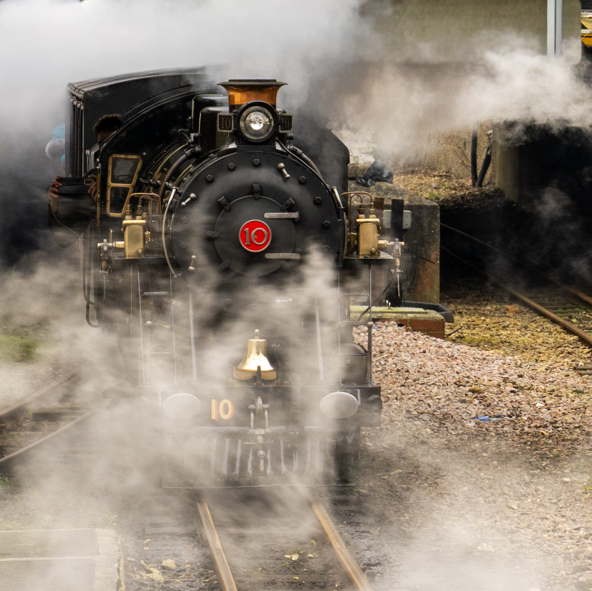 Photography by Chris Allington